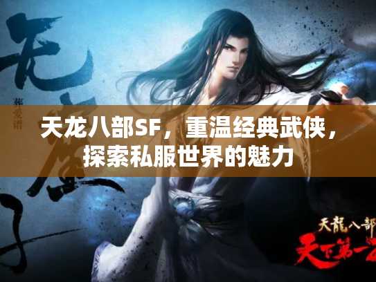 天龙八部SF，重温经典武侠，探索私服世界的魅力