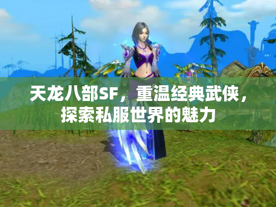天龙八部SF，重温经典武侠，探索私服世界的魅力