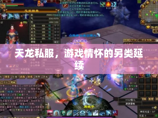 天龙私服，游戏情怀的另类延续