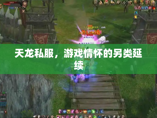 天龙私服，游戏情怀的另类延续