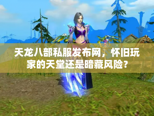 天龙八部私服发布网，怀旧玩家的天堂还是暗藏风险？