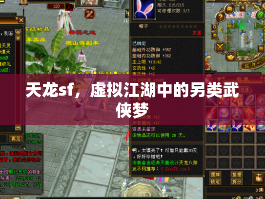 天龙sf，虚拟江湖中的另类武侠梦