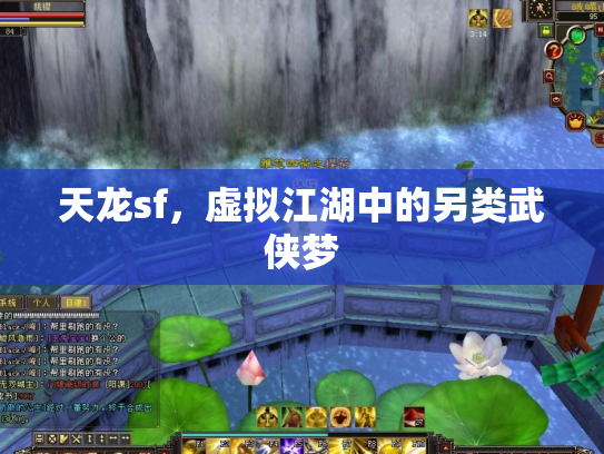 天龙sf，虚拟江湖中的另类武侠梦
