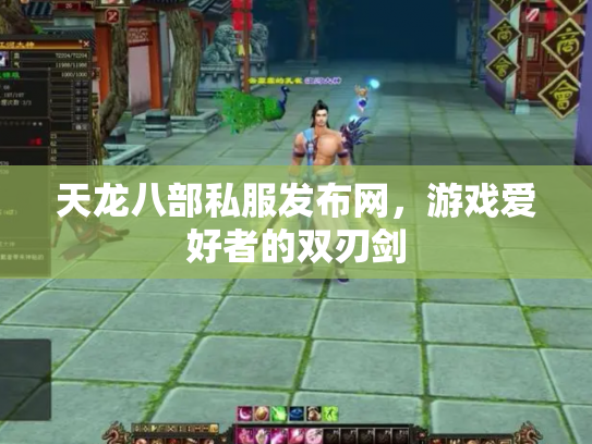 天龙八部私服发布网，游戏爱好者的双刃剑