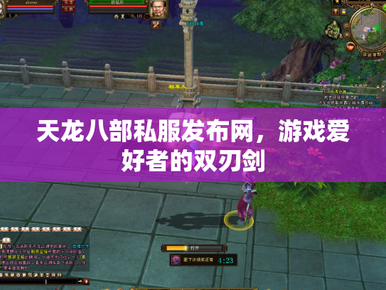 天龙八部私服发布网，游戏爱好者的双刃剑