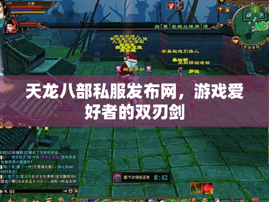 天龙八部私服发布网，游戏爱好者的双刃剑