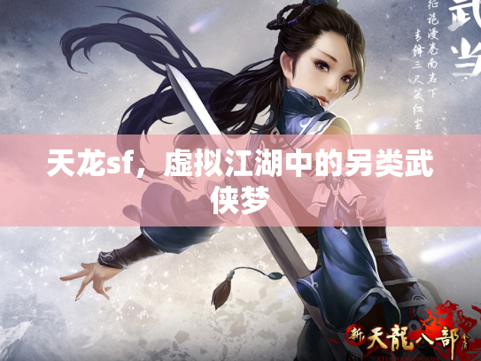 天龙sf，虚拟江湖中的另类武侠梦