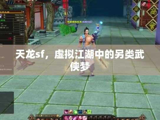 天龙sf，虚拟江湖中的另类武侠梦