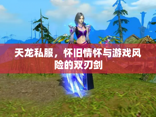 天龙私服，怀旧情怀与游戏风险的双刃剑