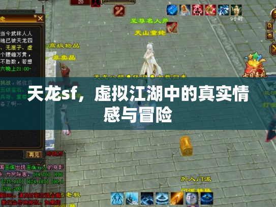 天龙sf，虚拟江湖中的真实情感与冒险