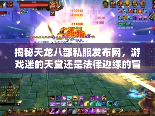 揭秘天龙八部私服发布网，游戏迷的天堂还是法律边缘的冒险？