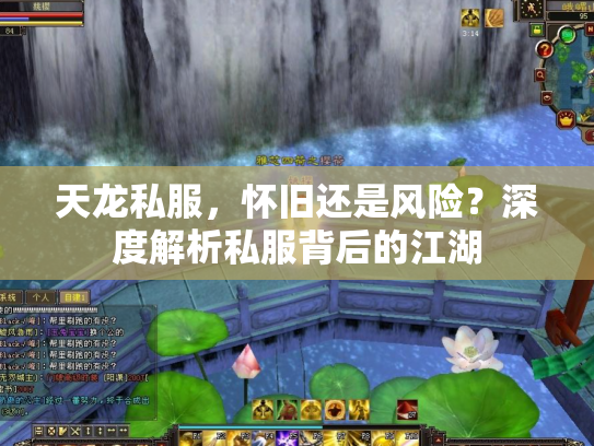 天龙私服，怀旧还是风险？深度解析私服背后的江湖