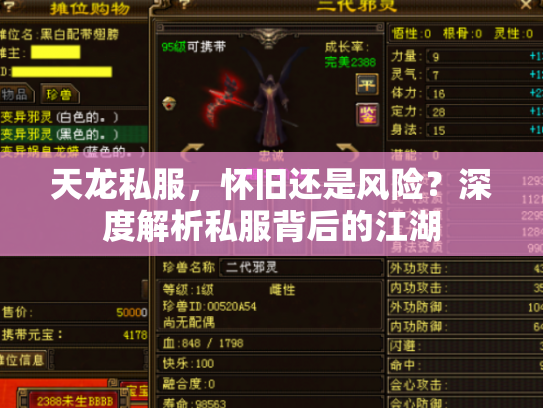 天龙私服，怀旧还是风险？深度解析私服背后的江湖