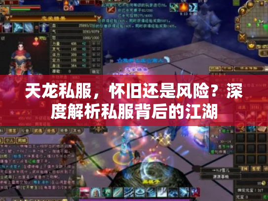 天龙私服，怀旧还是风险？深度解析私服背后的江湖