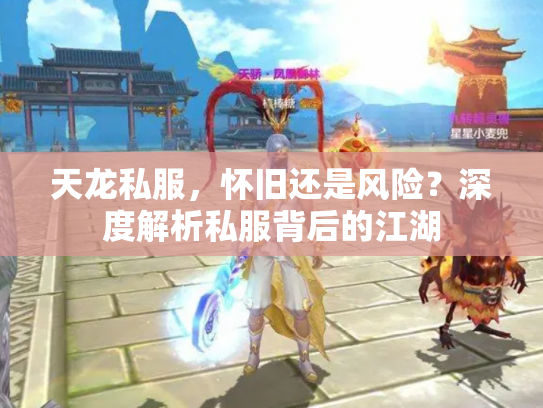 天龙私服，怀旧还是风险？深度解析私服背后的江湖