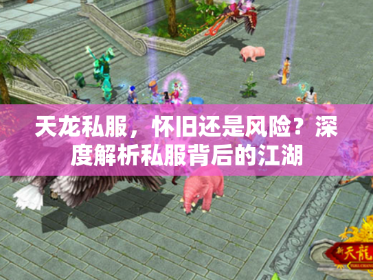天龙私服，怀旧还是风险？深度解析私服背后的江湖