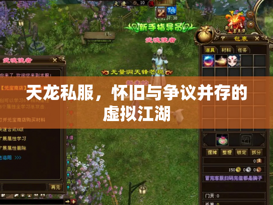 天龙私服，怀旧与争议并存的虚拟江湖