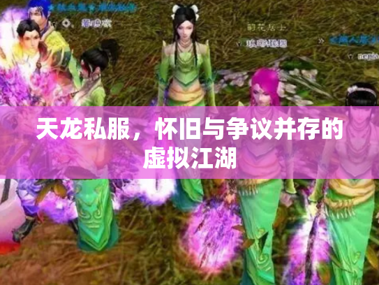 天龙私服，怀旧与争议并存的虚拟江湖