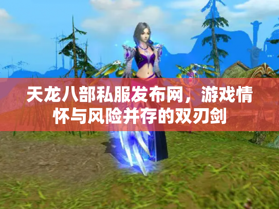 天龙八部私服发布网，游戏情怀与风险并存的双刃剑