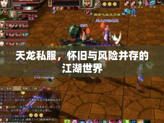 天龙私服，怀旧与风险并存的江湖世界