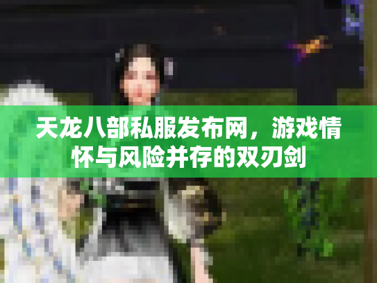 天龙八部私服发布网，游戏情怀与风险并存的双刃剑