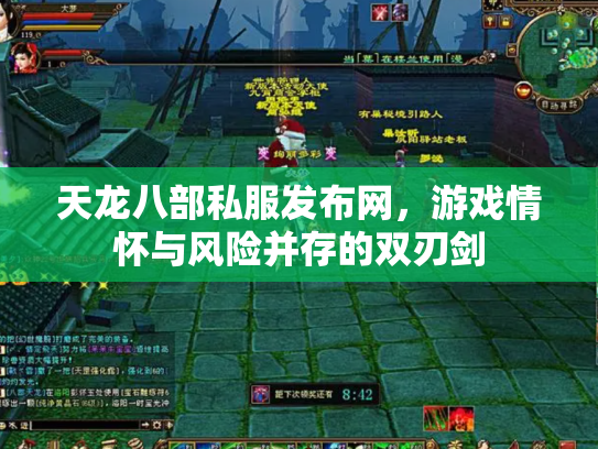 天龙八部私服发布网，游戏情怀与风险并存的双刃剑