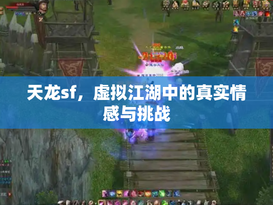 天龙sf，虚拟江湖中的真实情感与挑战