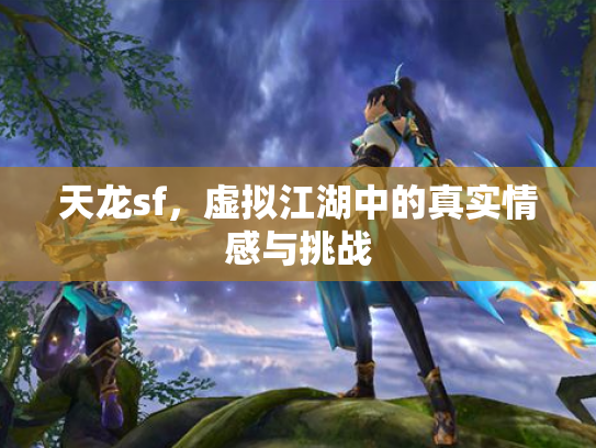 天龙sf，虚拟江湖中的真实情感与挑战