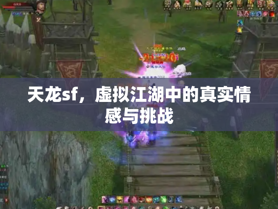 天龙sf，虚拟江湖中的真实情感与挑战