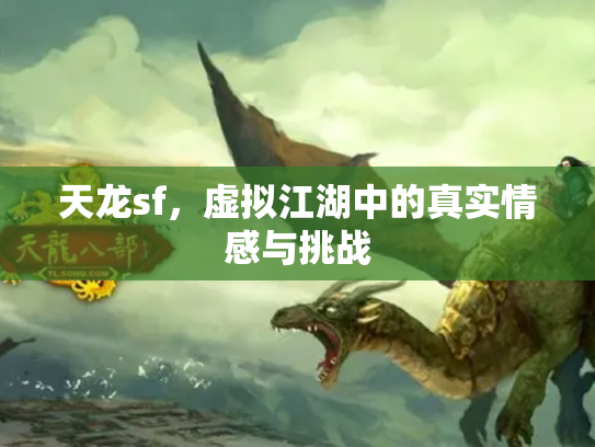 天龙sf，虚拟江湖中的真实情感与挑战
