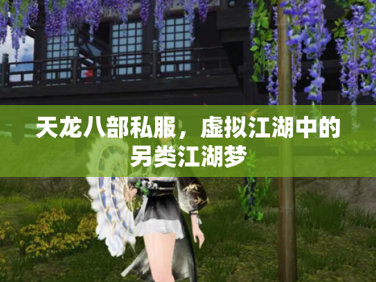 天龙八部私服，虚拟江湖中的另类江湖梦