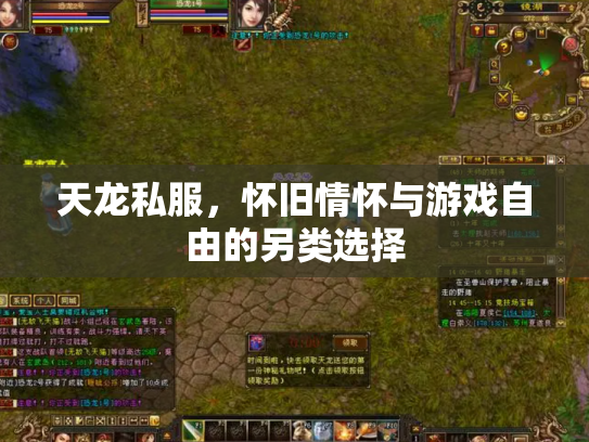 天龙私服，怀旧情怀与游戏自由的另类选择