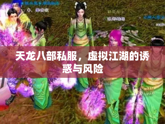 天龙八部私服，虚拟江湖的诱惑与风险
