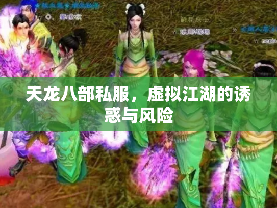 天龙八部私服，虚拟江湖的诱惑与风险
