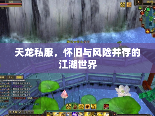 天龙私服，怀旧与风险并存的江湖世界
