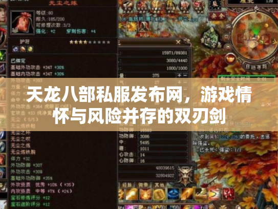 天龙八部私服发布网，游戏情怀与风险并存的双刃剑