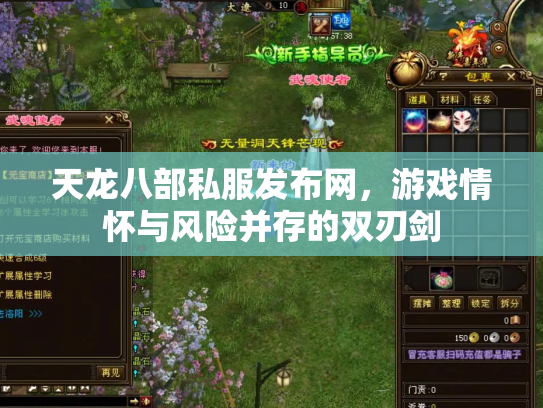 天龙八部私服发布网，游戏情怀与风险并存的双刃剑