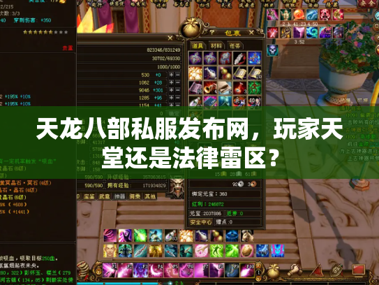 天龙八部私服发布网，玩家天堂还是法律雷区？