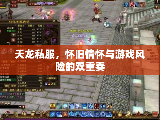 天龙私服，怀旧情怀与游戏风险的双重奏