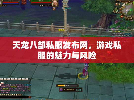 天龙八部私服发布网，游戏私服的魅力与风险