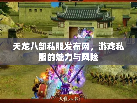 天龙八部私服发布网，游戏私服的魅力与风险