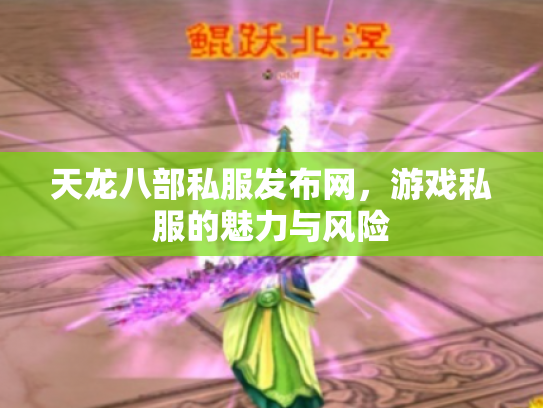 天龙八部私服发布网，游戏私服的魅力与风险