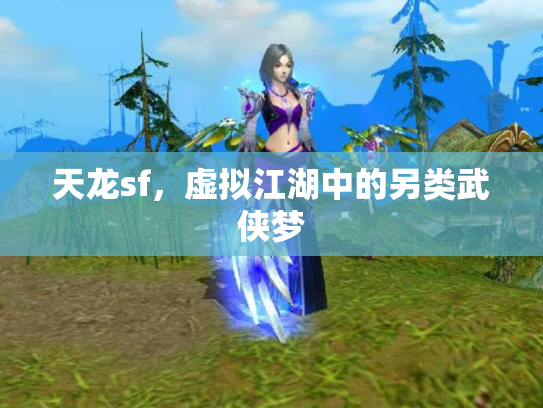 天龙sf，虚拟江湖中的另类武侠梦