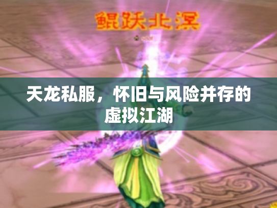 天龙私服，怀旧与风险并存的虚拟江湖