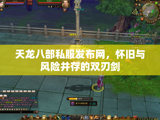 天龙八部私服发布网，怀旧与风险并存的双刃剑