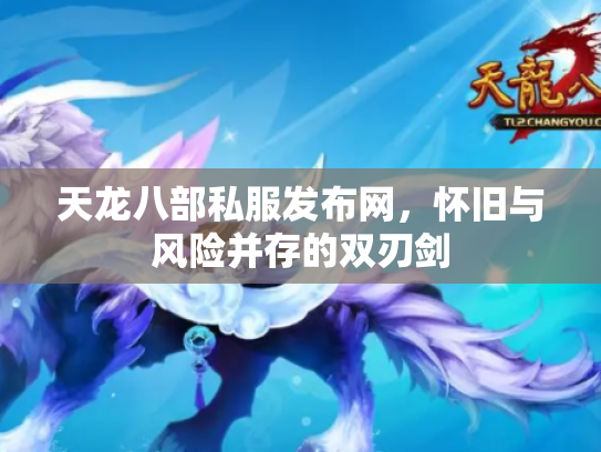 天龙八部私服发布网，怀旧与风险并存的双刃剑