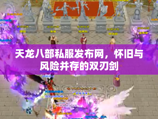 天龙八部私服发布网，怀旧与风险并存的双刃剑