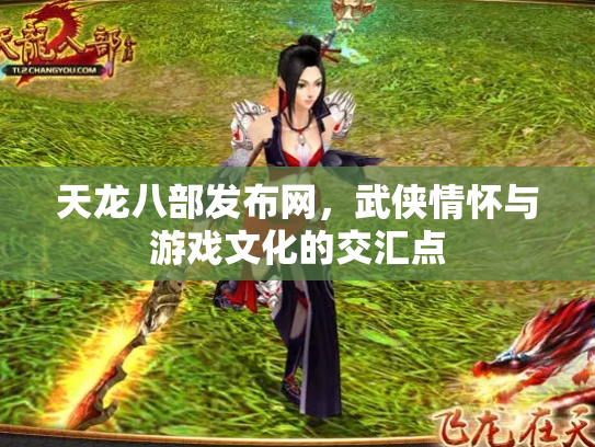 天龙八部发布网，武侠情怀与游戏文化的交汇点