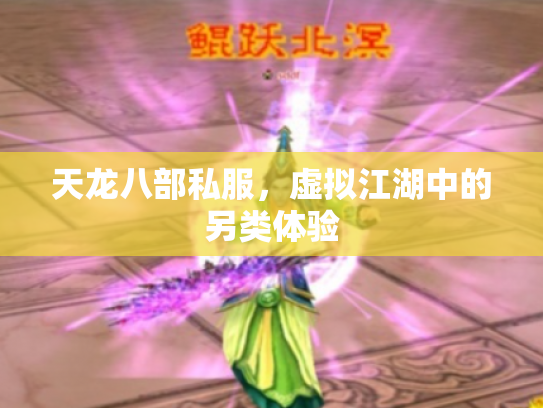 天龙八部私服，虚拟江湖中的另类体验