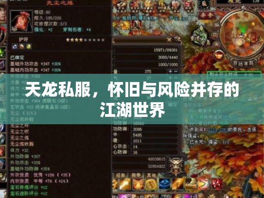 天龙私服，怀旧与风险并存的江湖世界